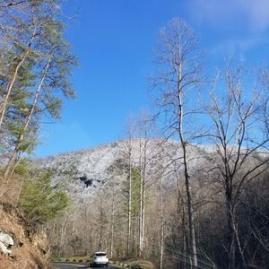 Meet your Posher, Ramona